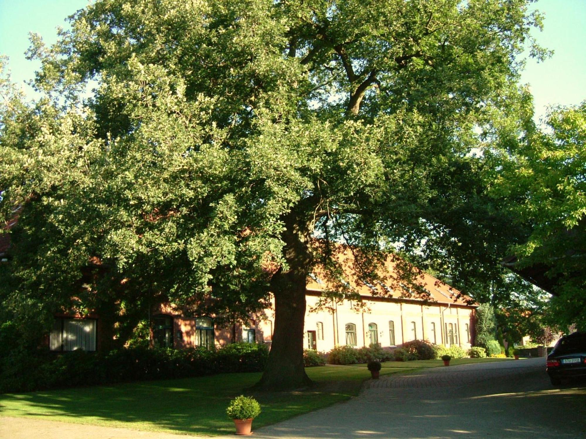 Gaestehaus Schlossgarten Etelsen Luaran gambar